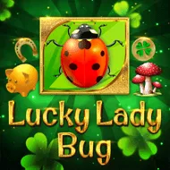 Lucky Lady Bug image