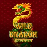 Wild Dragon Hold & Win image