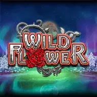 Wild Flower image