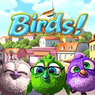 Birds Bild