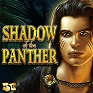 Shadow of the Panther игра