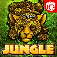 Jungle image