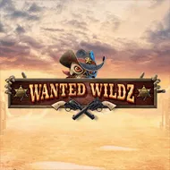 Wanted Wildz игра