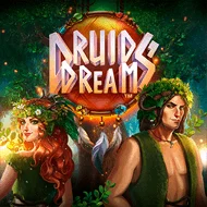 Druids' Dream игра