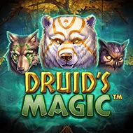 Druid's Magic игра
