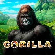 Gorilla игра