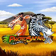 Photo Safari Bild