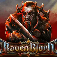 Raven Bjorn игра