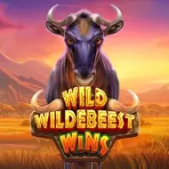 Wild Wildebeest Wins image