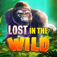 Lost in the Wild игра