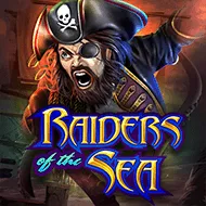 Raiders of the Sea игра