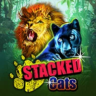 Stacked Cats игра