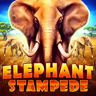 Elephant Stampede игра