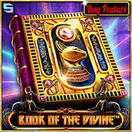 Book Of The Divine image