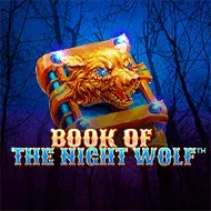 Book of The Night Wolf игра