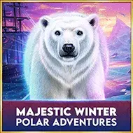 Majestic Winter - Polar Adventures игра