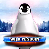 Wild Penguin игра
