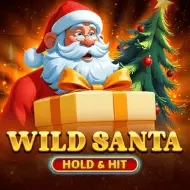 Wild Santa - Hold & Hit игра