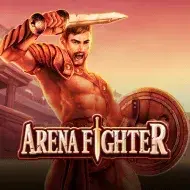 Arena Fighter игра
